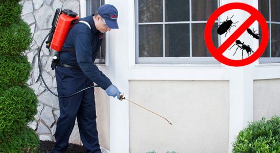 Vakfıkebir Karınca İlaçlama böcek ilaçlama ve haşere kontrolü — ilaclama-tr.com